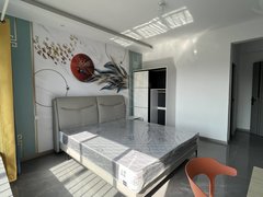 和县历阳安德利购物中心合租紧靠高新技术产业园，县二中，小区环境好出租房源真实图片