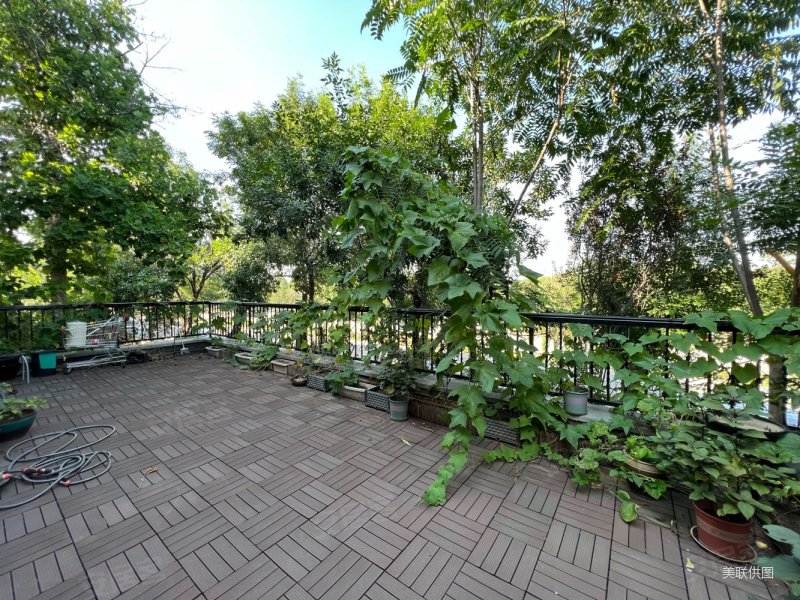 急售联排莱蒙湖公司急需资金周转低于市场价400