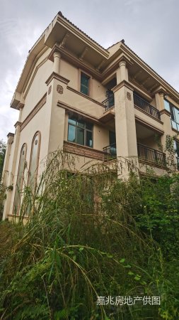 天府新区直管区,雅居乐峰会南区,独栋别墅,花园500平米