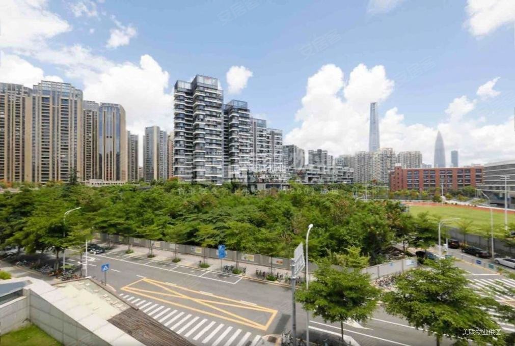 多套深圳湾联排别墅 南北通透 私家电梯 详情来电咨询,卓越维港南区