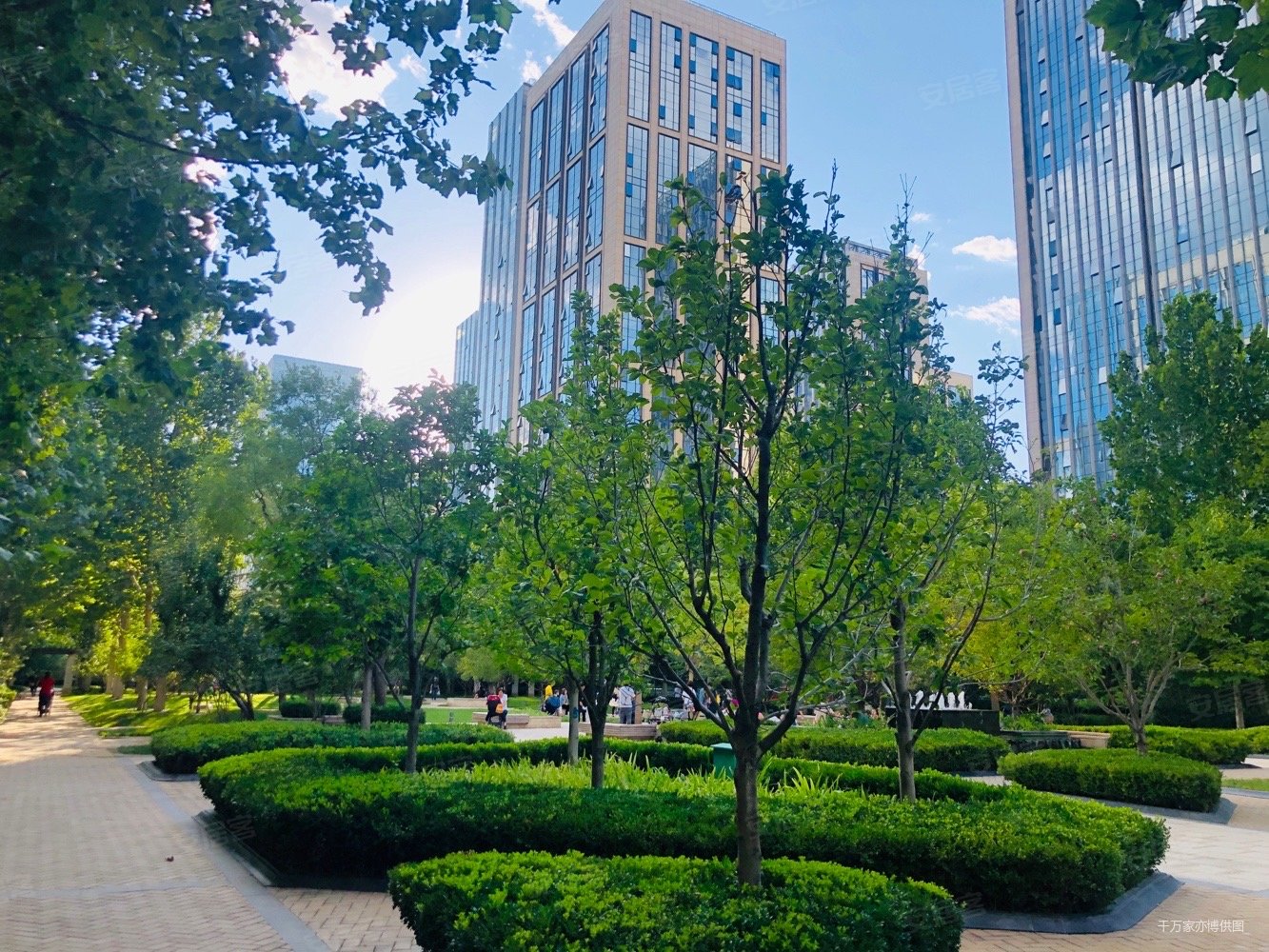 (高楼层)现700万 全天采光无遮挡 小区 位置 大落地窗,林肯公园c区