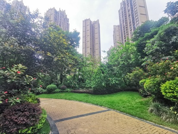 南宁青秀凤岭北美泉1612园林小区 美泉1612 精装1房 温馨干净 拎包