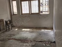 青岛市南湛山湛山旺角门头房  套二厅南北60平3000元月出租房源真实图片