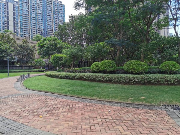 琶洲新村 2室2厅1卫 南北通透 电梯房 配套齐全,海珠租房-广州58安居