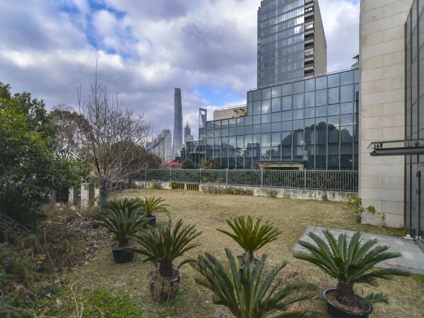 上海浦东陆家嘴保利one56江景别墅!奢阔核心地段!新交付!可长租!