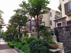 中山三乡小琅环路三鑫学校旁 三层别墅 带电梯 6房5卫 保养好拎包入住出租房源真实图片