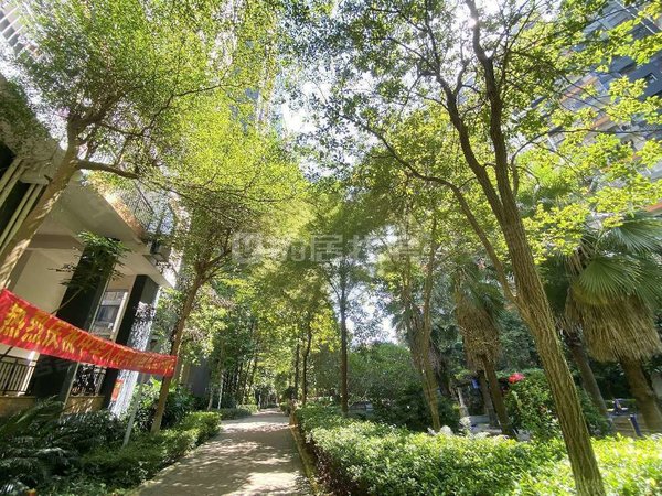 南宁兴宁区政府大嘉汇东城整租 36平 1室 精装 大嘉汇东城 电梯房