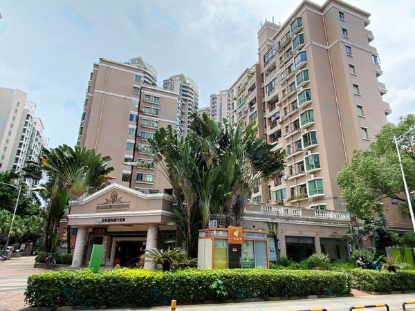 深圳福田新洲金地海景花园b区新上实地租房,金地海景花园带电梯,南向