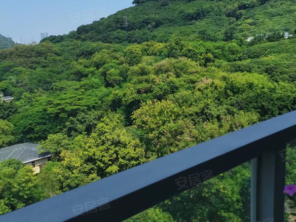 深圳南山桃源村十五峯花园塘朗山脚下 一线山景 4房大阳台出租房源