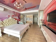 星光不夜城旁欧式风格 粉色设计 超大客厅 拎包入住 方便看房