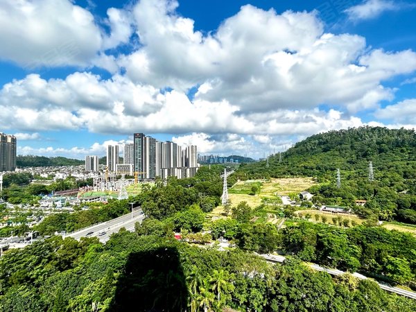 深圳宝安固戍凤凰岗村12号线豪华装修超大单间毕业生优惠折扣独栋无