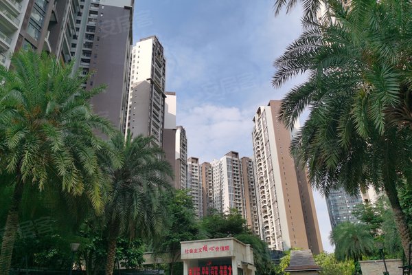 西粤京基城一期