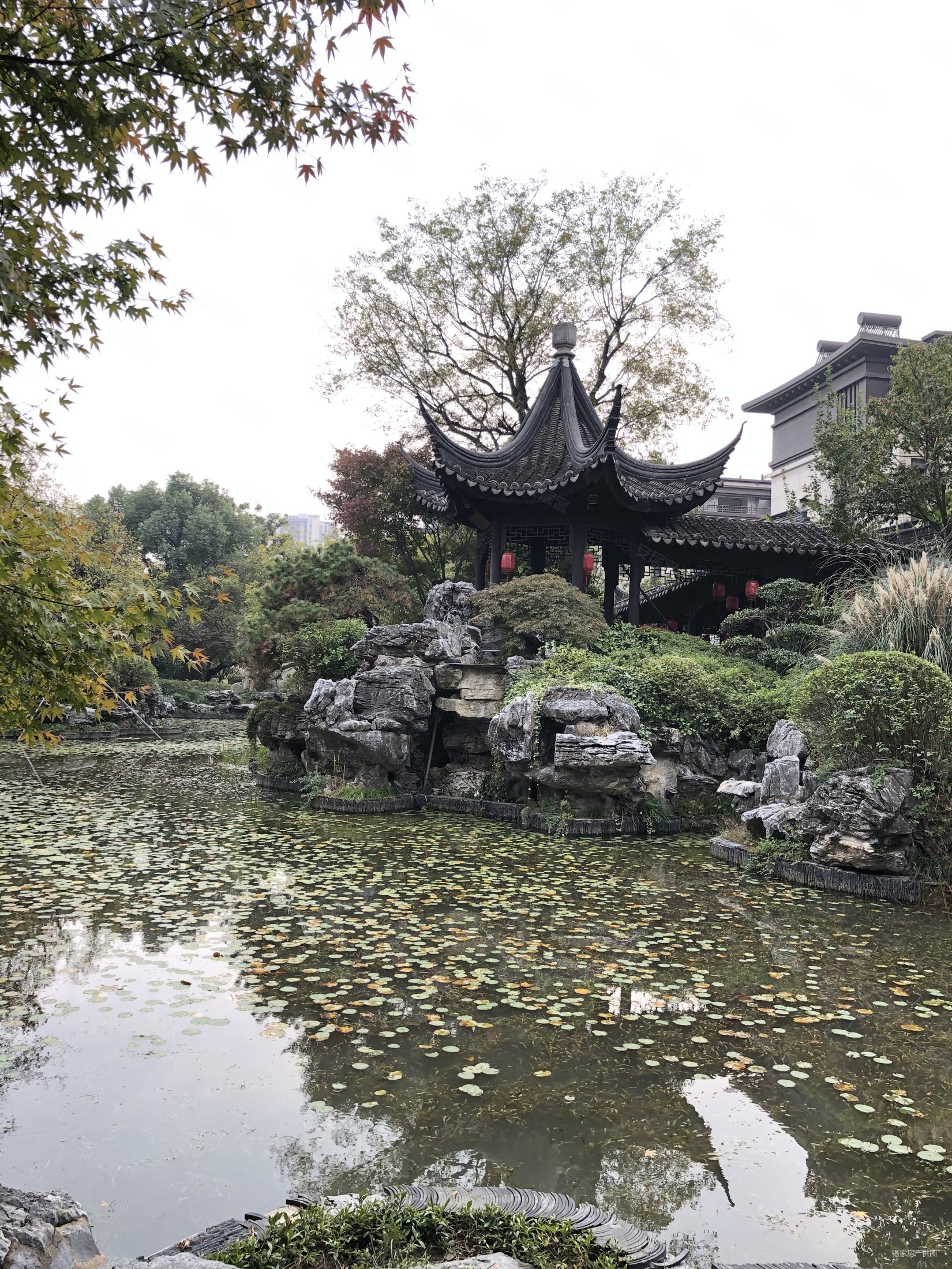 四层叠墅的 叠,中式园林全新毛坯,采光视野佳赠与面积多,建发玖里湾