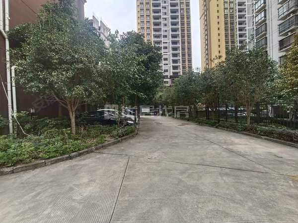 南宁青秀青秀山秀湖苑竹溪大道会展中心,民歌湖附近,电梯精装3房,房子价格都美丽出租房源真实图片