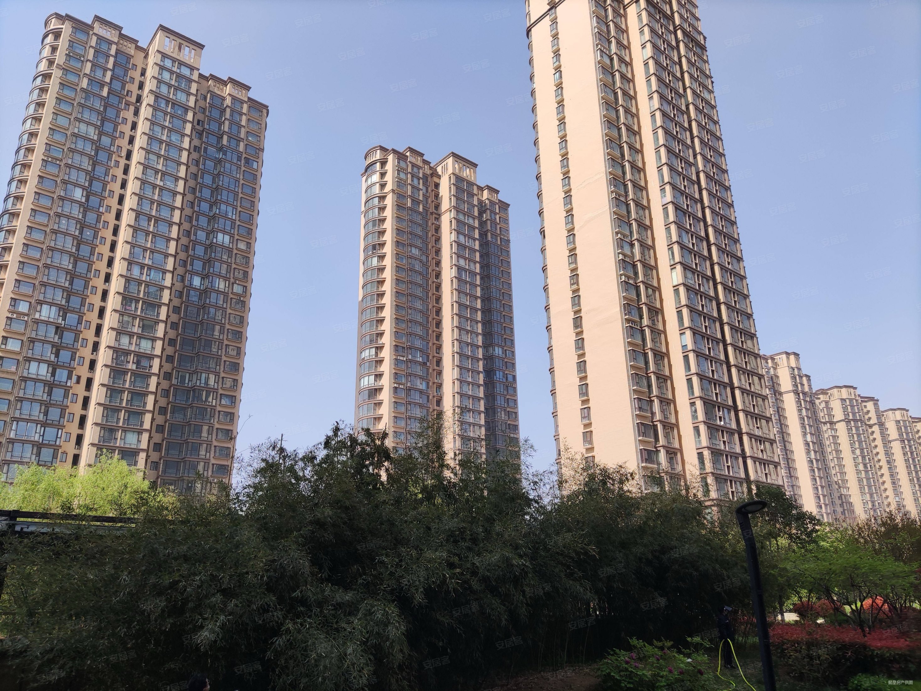 房龄新 满二   产权清晰 电梯房 高楼层视野无遮挡