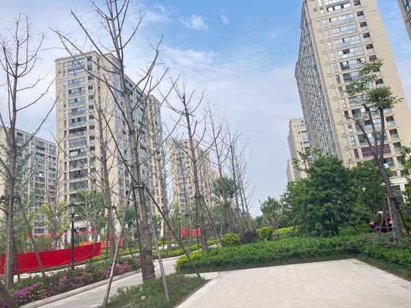 杭州钱塘义蓬义府名苑(二期)义府名苑塘新线地铁口精装修3房,小区内包