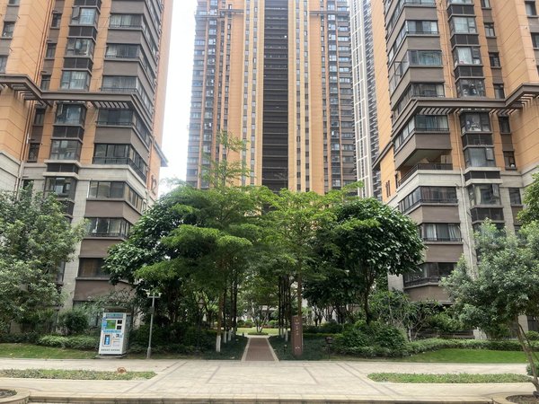 青秀万达 万科广场 联发君澜 精装三房 拎包入住,青秀租房-南宁58安居