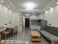 射阳射阳城南太阳城租恒隆公寓13楼精装56平东朝向1室一厅1200月交3压一出租房源真实图片