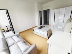 合肥高新客运西站安医附院 别墅合租套内 美芝 天源迪科 汽车西站 置地中心出租房源真实图片