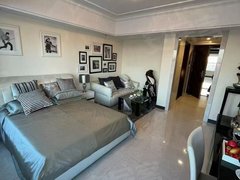 抚顺顺城恒大广场恒大广场一室 楼层好 全天采光 精装拎包住 交通便利 随时看出租房源真实图片