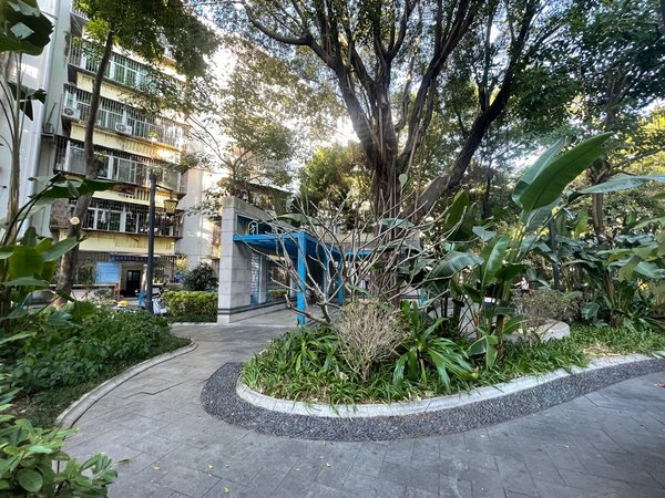 深圳福田华强北华新村华强北华新村稀有精装两房两卫,双阳台,南北通透