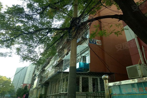 左家庄人口_左家庄残疾人(2)