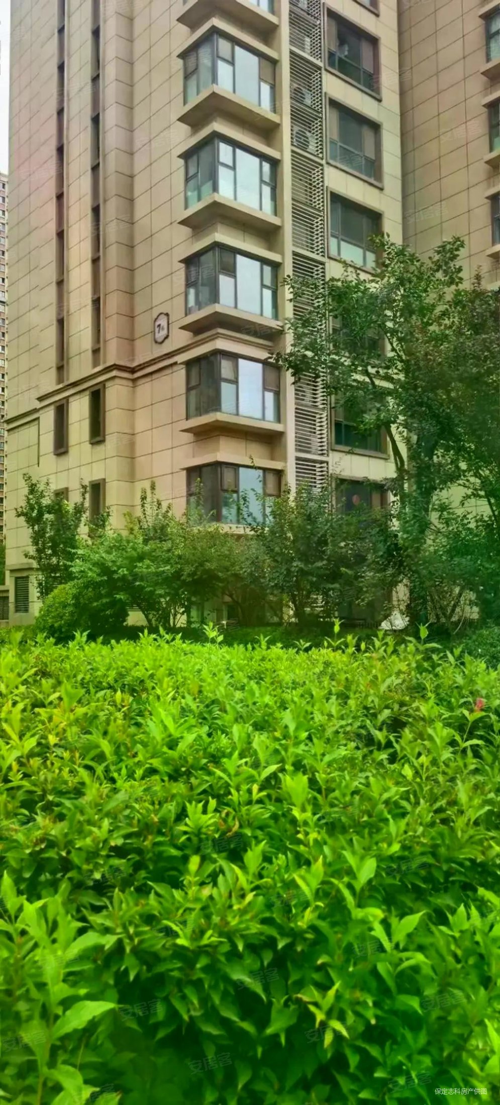 玉兰花园 南北通透3室超值 毛坯随意 小区绿化高,玉兰花园(玉锦园)