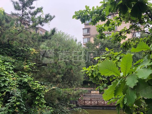 银谷美泉南北三居室小区环境好居住舒适拎包住近公园