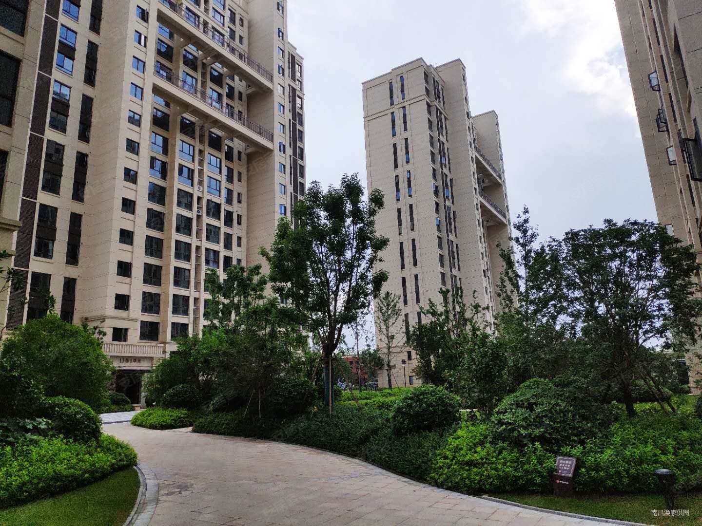 中海阳光玫瑰园