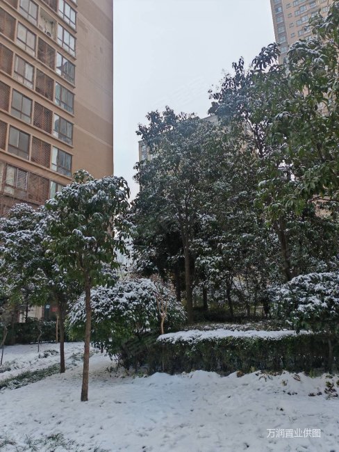 中环国际城北区