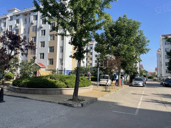 青岛莱西周格庄书苑小区a北一中附近 精装低楼层  干净卫生 家具家电