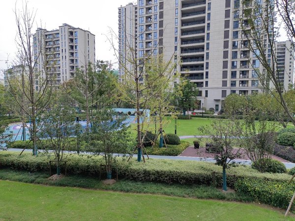 永康婺江印月铁路公园 金师附小 婺江印月 带车位 4房出租出租房源