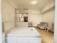 武汉黄陂汉口北诚心急租! 汉口北地铁旁  精装一房一厅 有天然气 看房随时出租房源真实图片