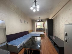 潍坊潍城中百威尼斯一室一厅，家电齐全，可月付出租房源真实图片