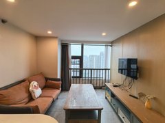 杭州拱墅拱宸桥智慧网谷 招商蛇口 浙数文化 新天地 城市学院 地铁4号线出租房源真实图片