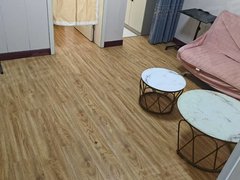 长垣蒲西蒲西南蒲社区，一楼，1室1厅1厨1卫，精装修拎包入住出租房源真实图片