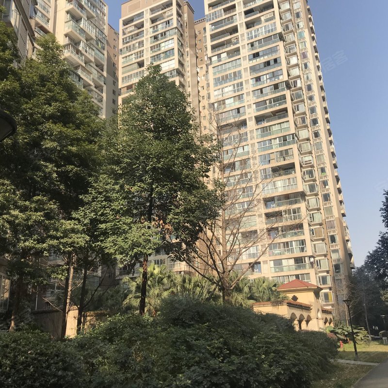 橙花风景专家解读