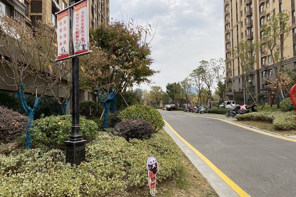 枣庄小区 薛城小区 新城小区 鸿鑫俊景