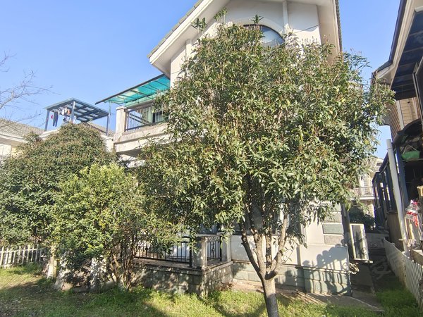 杭州富阳银湖秀水山庄秀水山庄 4室2厅3卫 266平 南北通透出租房源