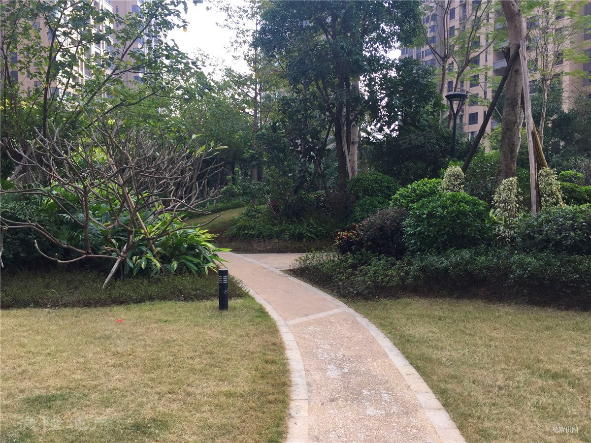 绿地洋房,3房2厅2卫,地铁锦龙站及近顺联广场.诚意出售,顺德绿地国际