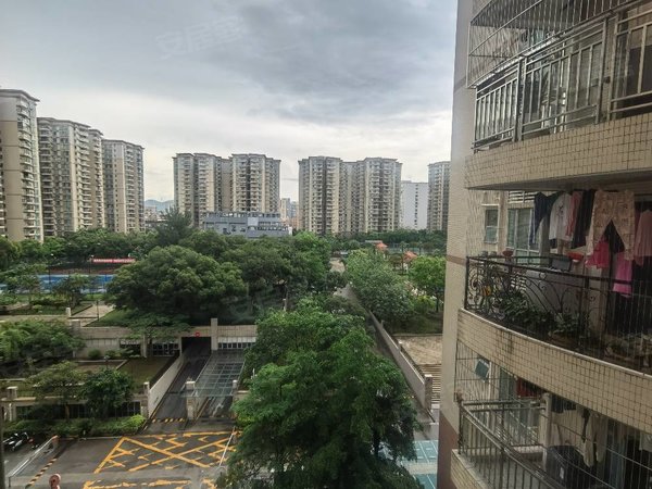 深圳宝安沙井景城花园景城花园,大型花园小区!