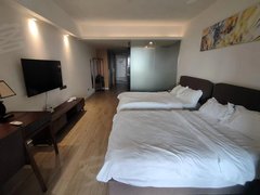 汕尾汕尾城区马宫短租长租保利金町湾望海寓 1室 52平 电梯房 精装修出租房源真实图片