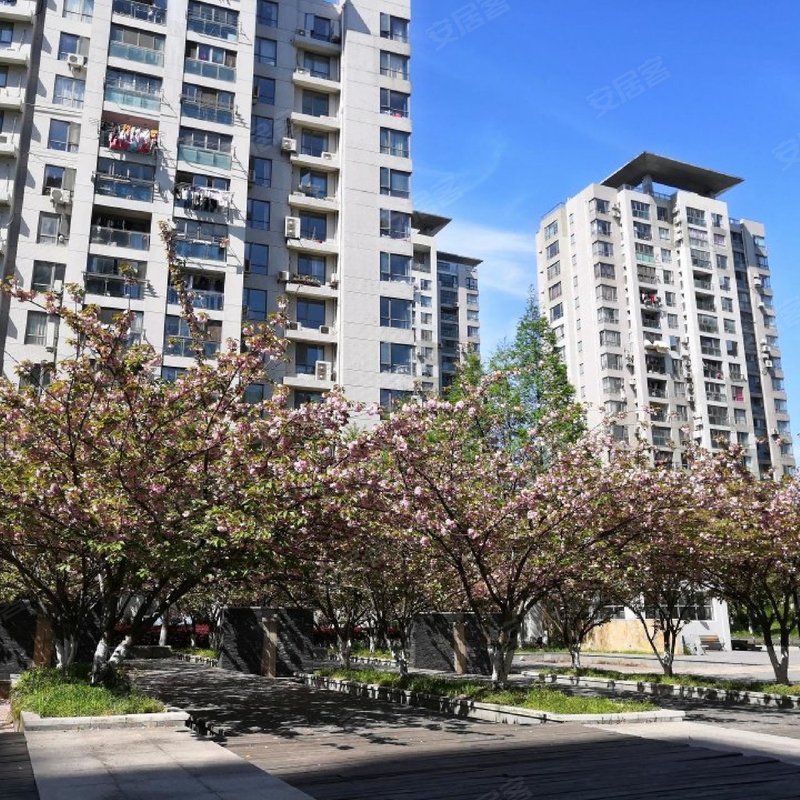 小区出门往南走300米到9号地铁杨高