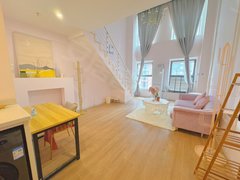 武汉洪山新南湖步行街 光谷天地 11号线地铁站 无中介 民用水电 K11出租房源真实图片