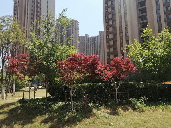 济南历城小清河祥泰城文鼎园手次出租,随时看房,拎包住,家具齐全,紧邻