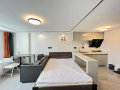 长沙岳麓洋湖湿地公园整租洋湖三号线地铁口精装一房 拎包入住价格美丽小区环境优美出租房源真实图片