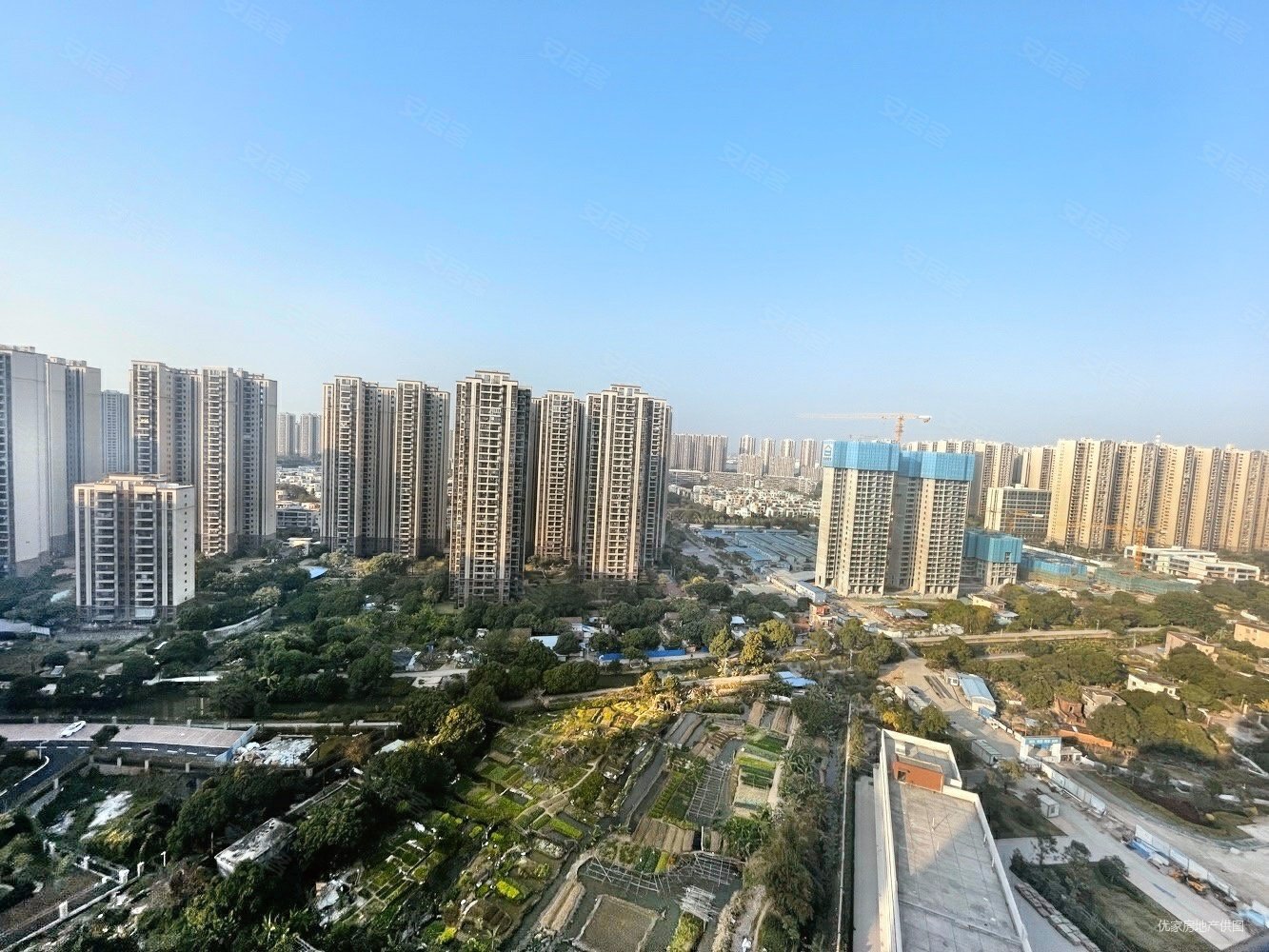 碧桂园凤凰湾3室2厅2卫89.78㎡北88万