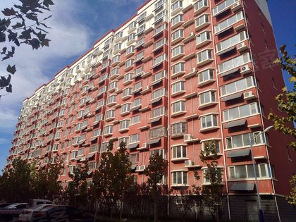 阳光城