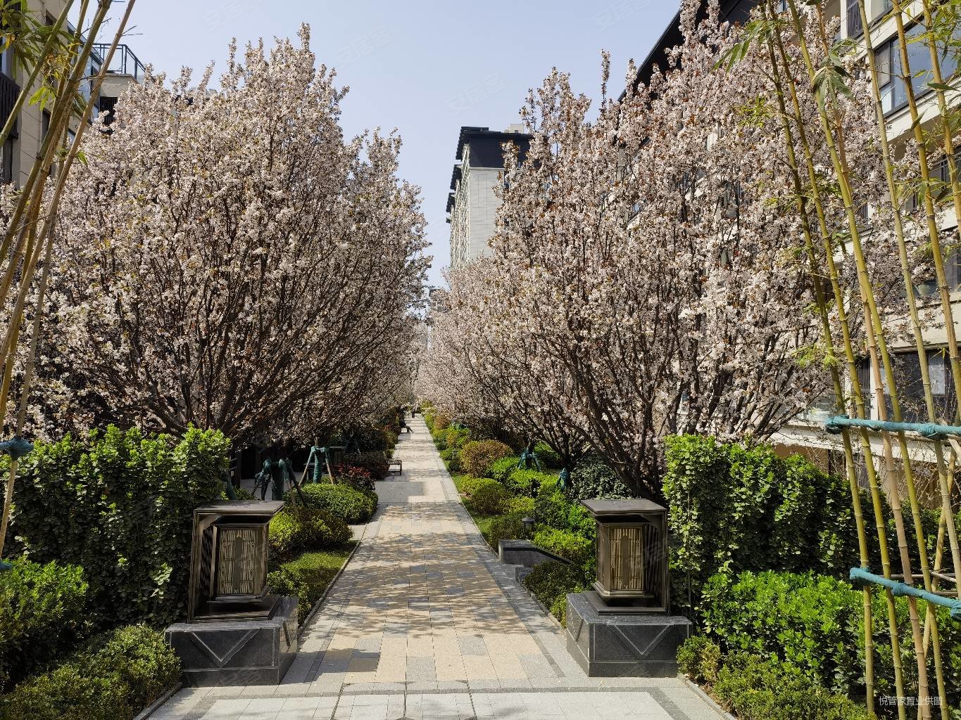 中海曲江大城君尚府