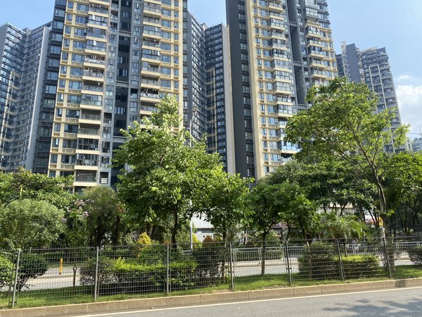 深圳龙岗大运中海康城花园东南向空房3室1卫高楼层看花园景观2梯4户